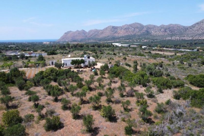 Mouzouras Kreta, Mouzouras: Flaches Grundstück mit Panoramablick zu verkaufen Grundstück kaufen